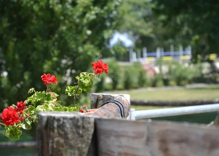 Gite Du Haras