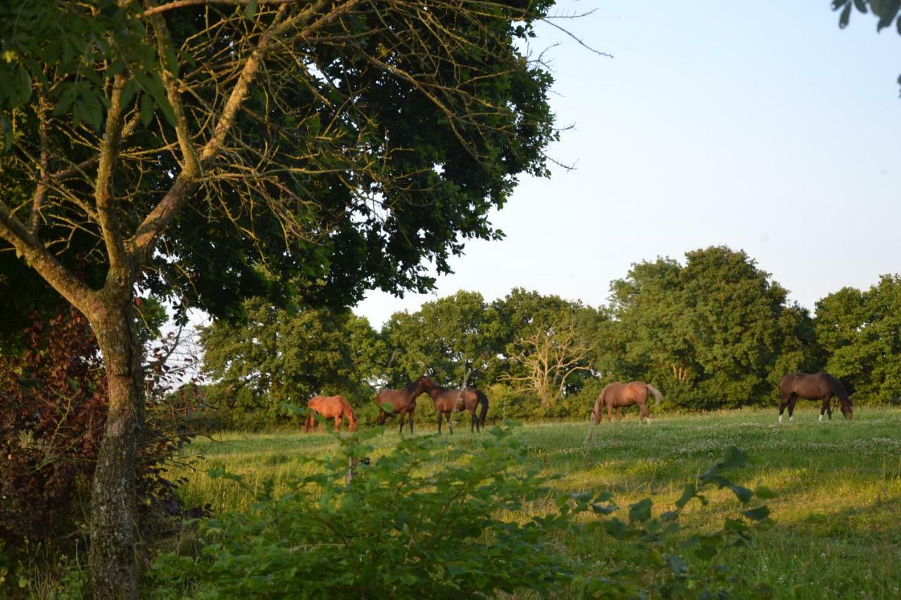 Du Haras Les Aubiers